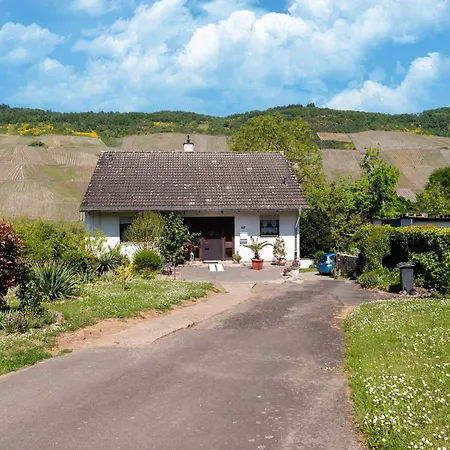 Moselle Vineyard Escape, Cleaning Included Апартаменты Wehlen