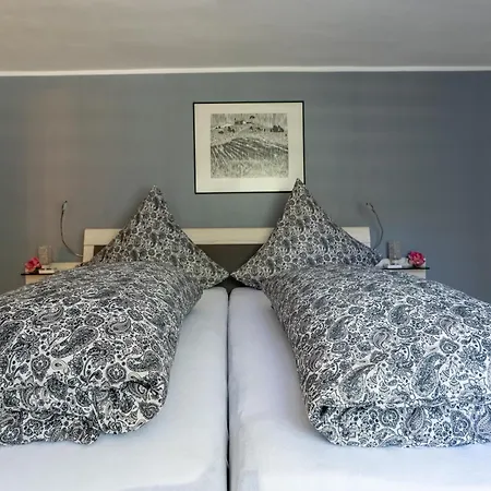 Moselle Vineyard Escape, Cleaning Included * Wehlen