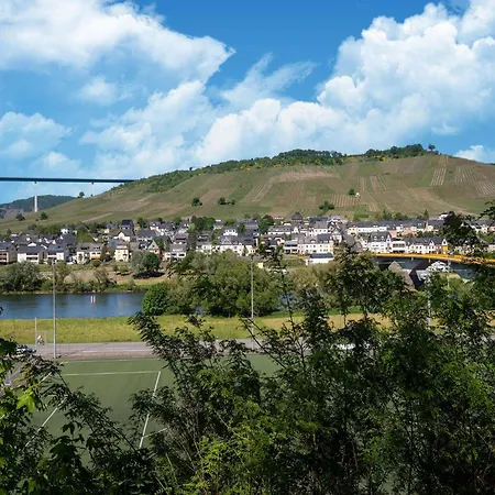 Moselle Vineyard Escape, Cleaning Included